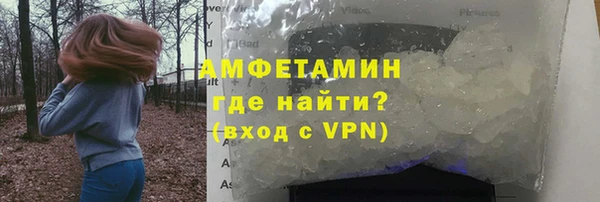ГАЛЛЮЦИНОГЕННЫЕ ГРИБЫ Ельня