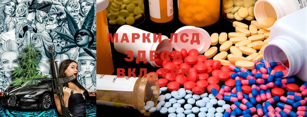 ECSTASY Ветлуга