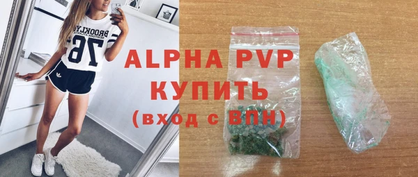 ГАЛЛЮЦИНОГЕННЫЕ ГРИБЫ Ельня