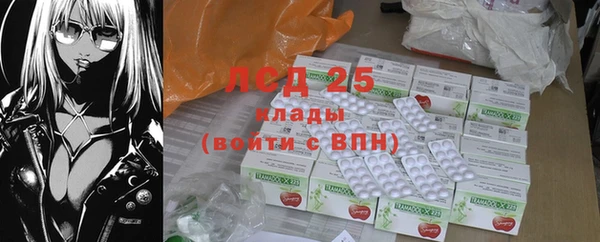 ГАЛЛЮЦИНОГЕННЫЕ ГРИБЫ Ельня