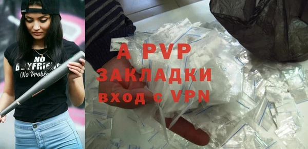ГАЛЛЮЦИНОГЕННЫЕ ГРИБЫ Ельня