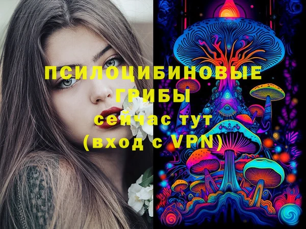 mdma Елабуга