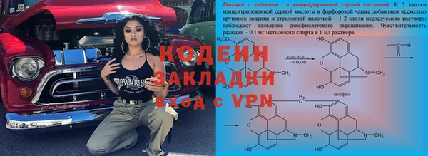 ГАЛЛЮЦИНОГЕННЫЕ ГРИБЫ Ельня