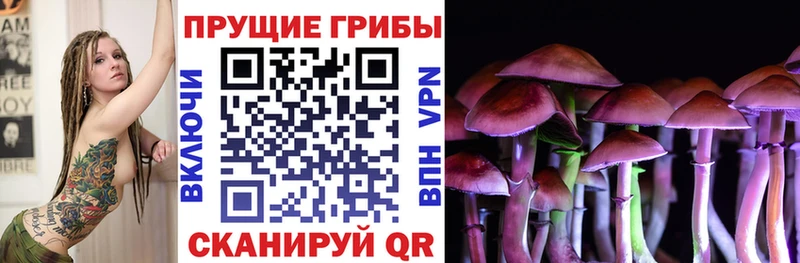 Галлюциногенные грибы GOLDEN TEACHER  Инза 